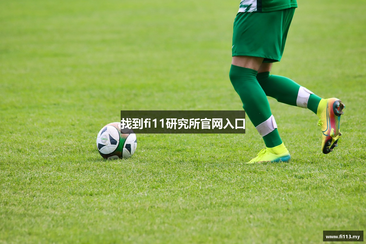 找到fi11研究所官网入口